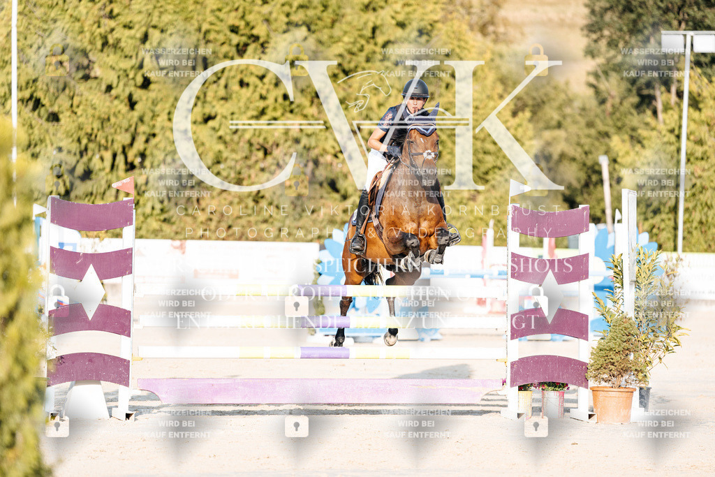 CK900746 | Turnierfotografie Pferdefotografie Trier Rheinland-Pfalz Pferdesport Reitsport Tierfotografie Sportfotografie Pferdevideo Pferdevideografie Equestrianvideography equestrianphotography  - Realisiert mit Pictrs.com