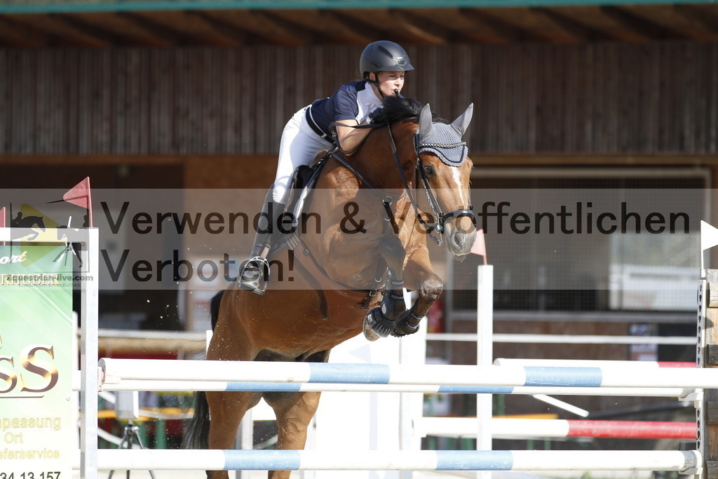 _MG_5508 | equestrian-live-com