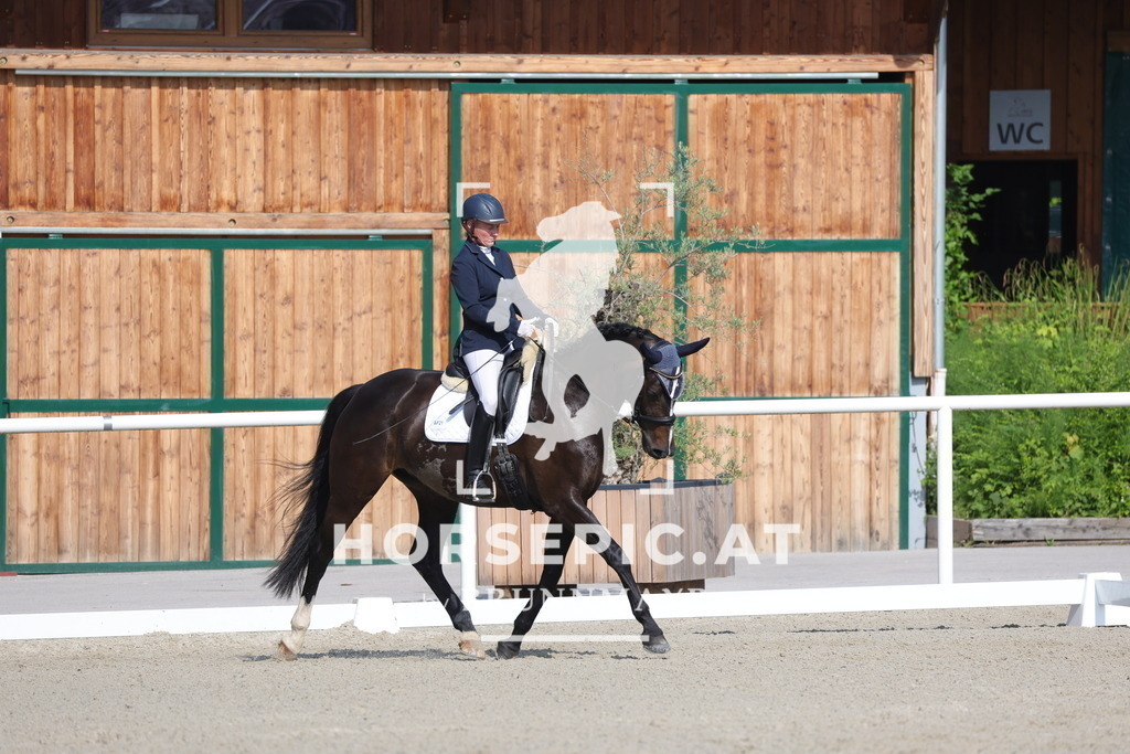 0P6A4551 | Willkommen bei Brunnmayr - Design & Fotografie – Ihrem Spezialisten für Reitturniere und Pferdeveranstaltungen in Oberösterreich, Salzburg und Bayern! Seit über 17 Jahren sind wir leidenschaftlich dabei.