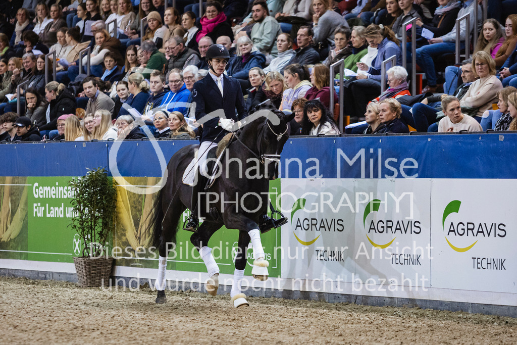 250108_Muenster_Hengstpräsentation-112 | Deine schönsten Turniermomente als professionelle Fotos! Entdecke hochwertige Pferdesport-Fotografie im Online-Shop. Jetzt Fotos finden & bestellen!