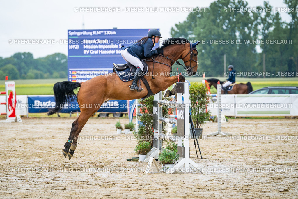 DSC03613 | Pferdegrafie