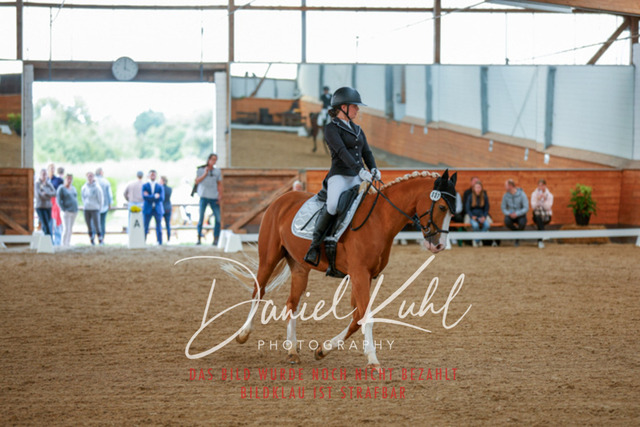_62_7612 | Turniersportfotografie; Pferdefotografie; Dressurfotografie