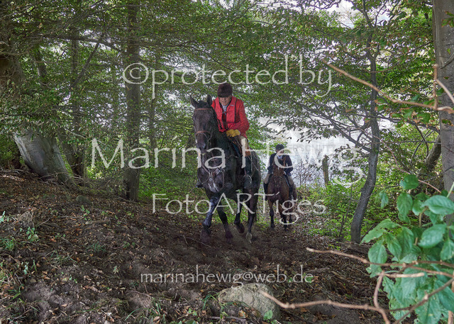 09-23 JAgd PerdölDSC02334_Marina Hewig | Fotografie, FotoArt, PferdesportArt, Pferdesportfotografie, Landschaftsfotografie, Reisefotografie, Reise, Pferde - Realisiert mit Pictrs.com