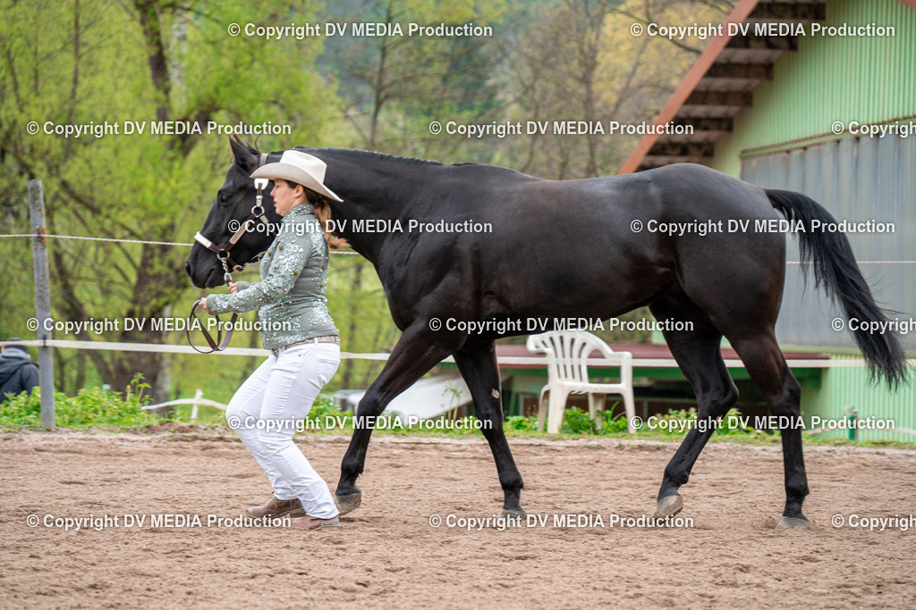 BA300175 | dv-media-shop - Realisiert mit Pictrs.com