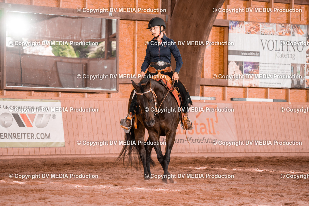 NE200679 | dv-media-shop - Realisiert mit Pictrs.com