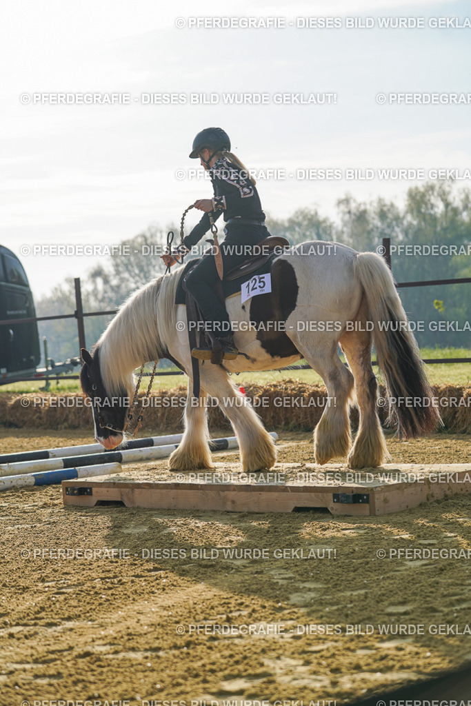 DSC00173 | Pferdegrafie