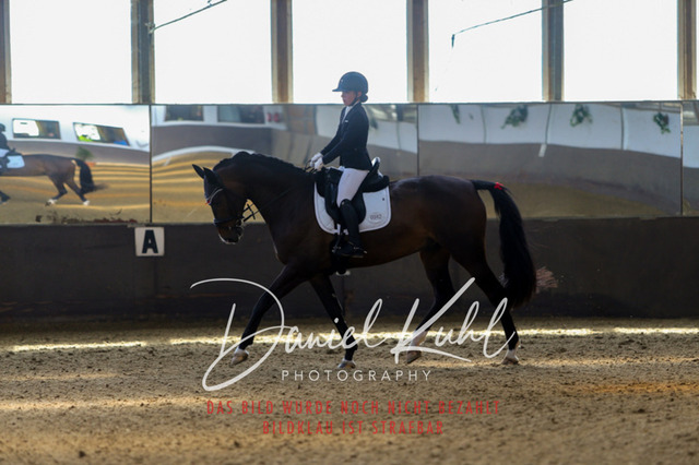 IMG_2631 | Turniersportfotografie; Pferdefotografie; Dressurfotografie