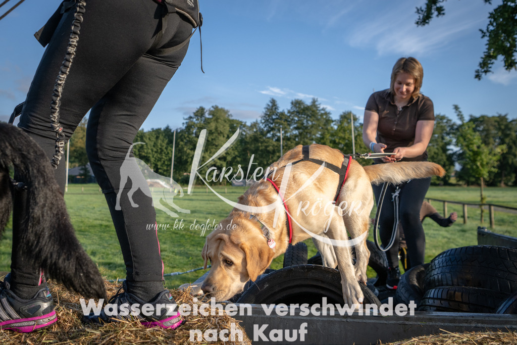 0817_ZZ90837 | kk-dogfotos
