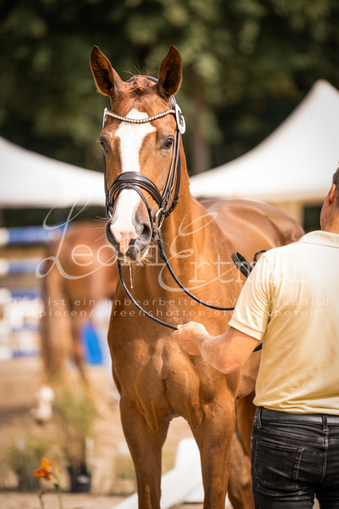 7.Fr00104 | Leoni Ertmer Photography - Realisiert mit Pictrs.com