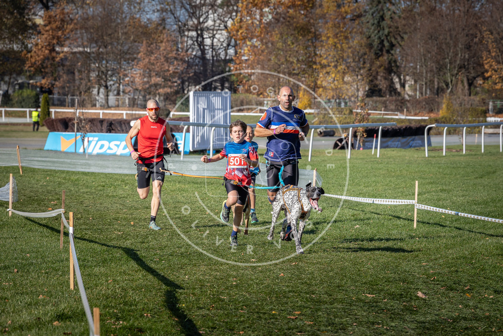 CaniXpix_0L8A6533 | Hundefotografie, Tierfotograf, Pfotenfotografie, Fotoshooting Hund, Hunde Portrait, Hundesport, Hundeportraits, Heideshooting, Hunde, Sportfotograf, Hundefotograf, Turnierhundsport, THS,  - Realisiert mit Pictrs.com