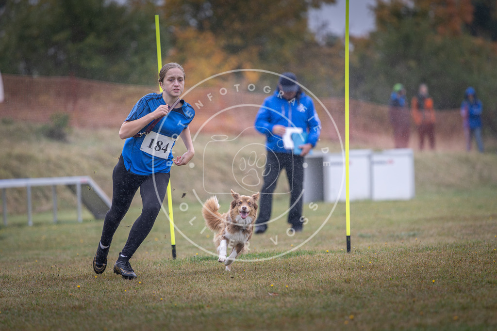 Pfotenfotografie_DV3A0050 | Hundefotografie, Tierfotograf, Pfotenfotografie, Fotoshooting Hund, Hunde Portrait, Hundesport, Hundeportraits, Heideshooting, Hunde, Sportfotograf, Hundefotograf, Turnierhundsport, THS,  - Realisiert mit Pictrs.com
