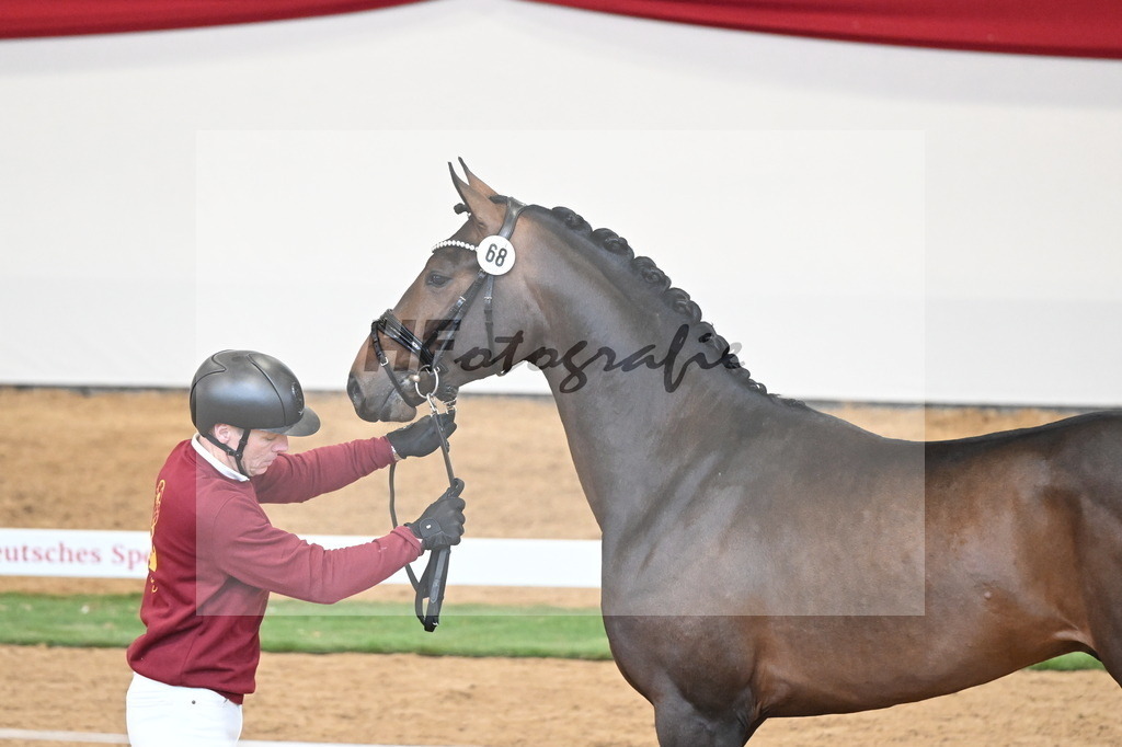 Kat.-Nr. 68 v. Fynch Hatton_Kampe_2250486 | hf-fotografie - Realisiert mit Pictrs.com