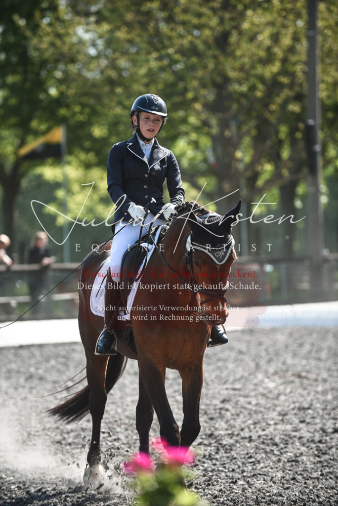 DSC_8896 | Pferde- und Turnierfotografie in Westsachsen. Pferdeportraits, Auftragszeichnungen und intuitive Kunst.