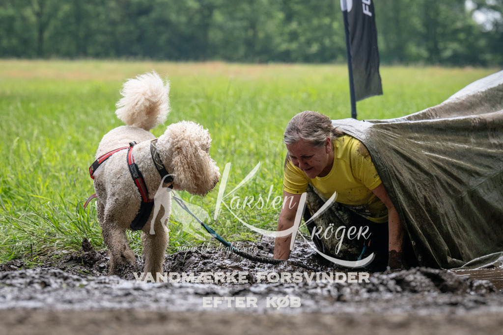 1120_ZZ92584 | kk-dogfotos