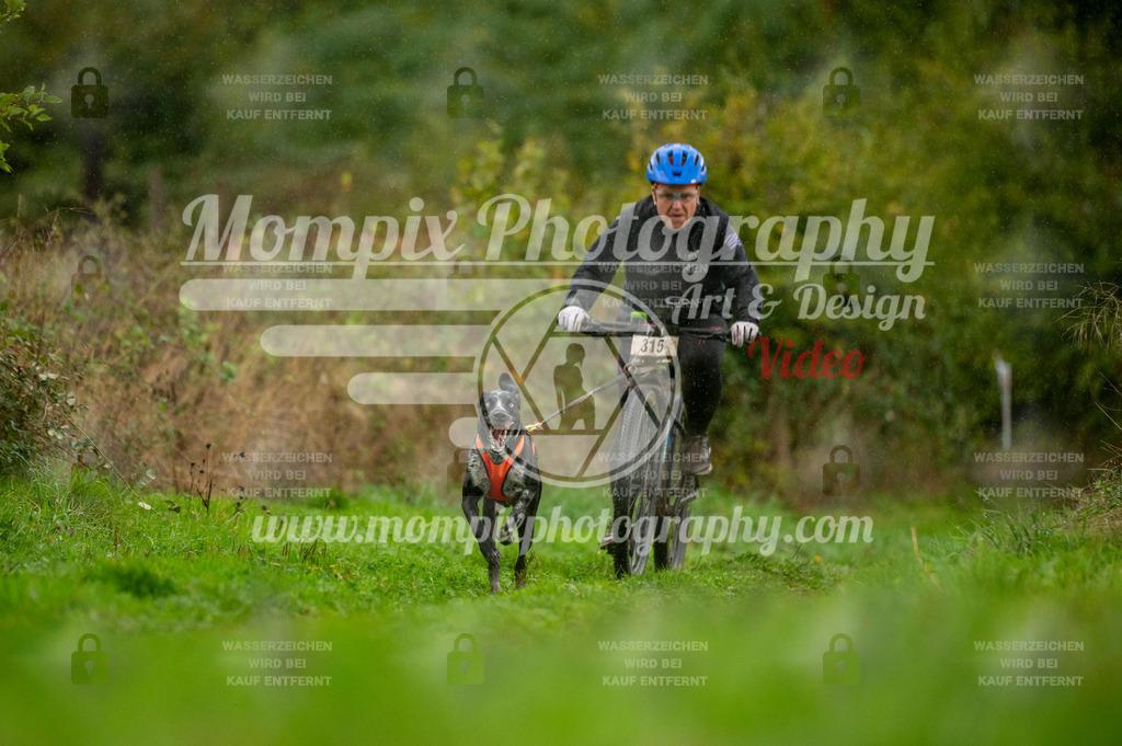 TSB_2023_E6_Bike-46 | PayLife