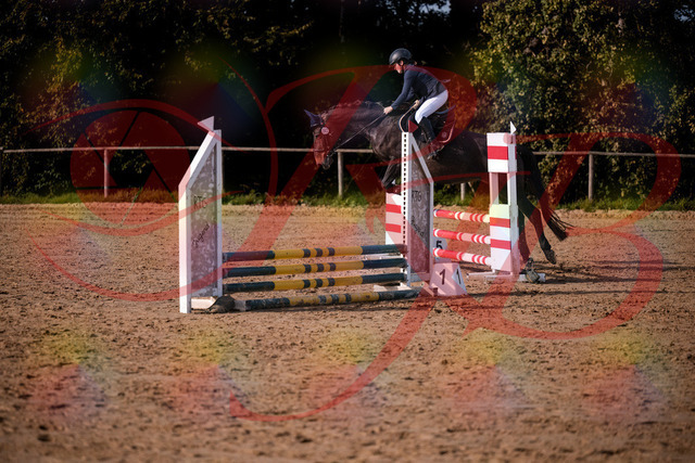 2026_10_03_Siefer-Hof_160134_Z81_82472313 | Professionelle Reitsport-, Turnier- und Eventfotografie von Robert Broda. Galerien mit ausgewählten und bearbeiteten Bildern direkt online ansehen und bestellen.
