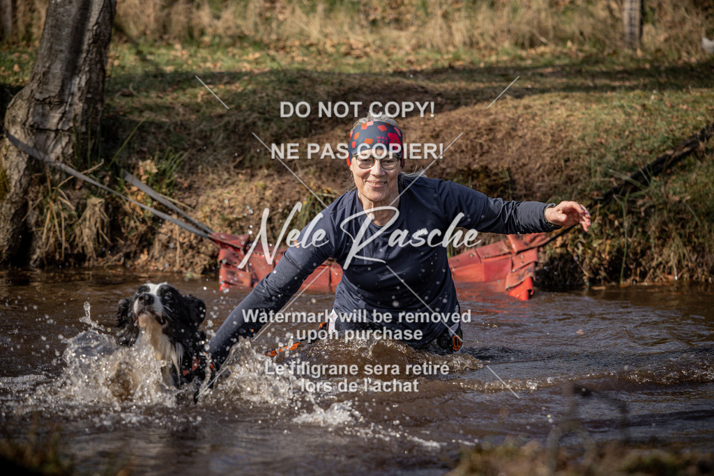 nelerasche_FS1330-1400_235 | nelerasche