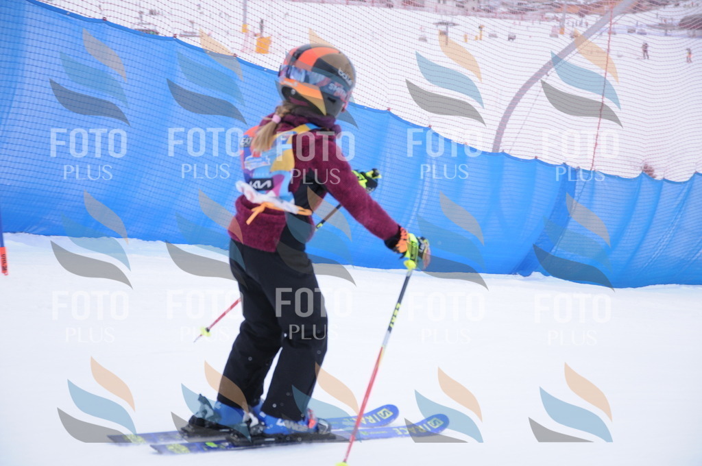 DSC_7967 | holidayphoto