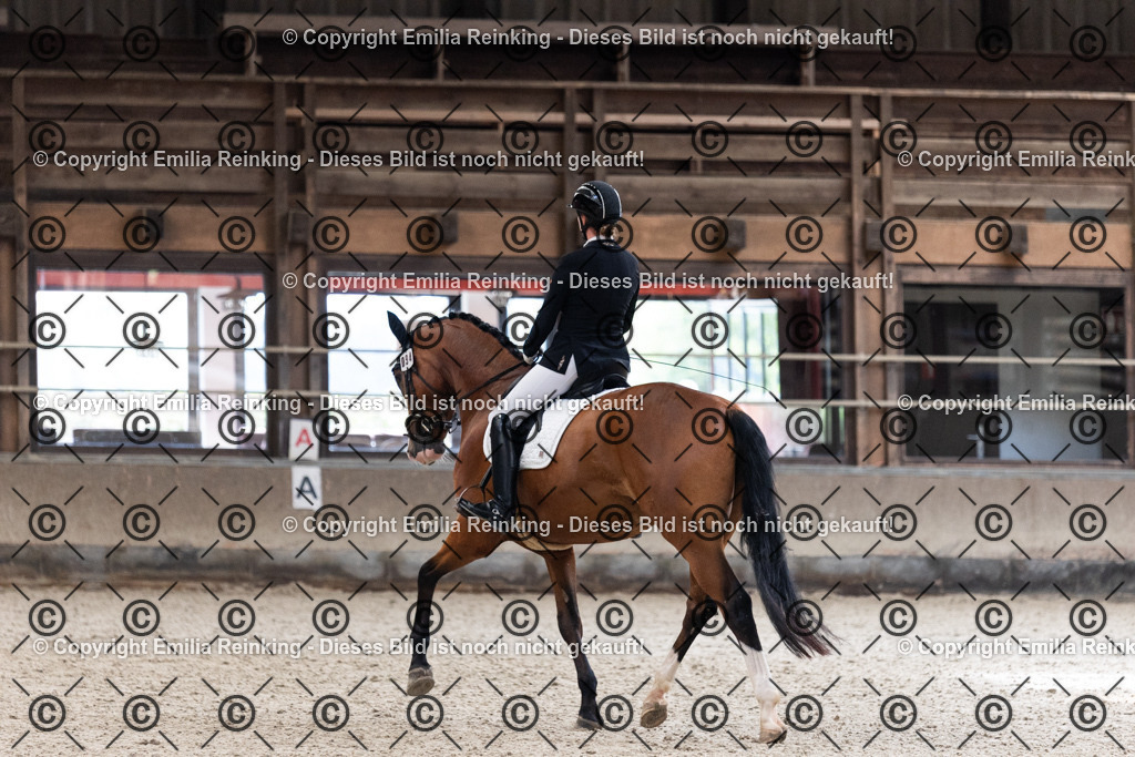 CL5A1446 | Emilia Reinking Fotografie - Realisiert mit Pictrs.com