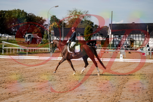 2026_10_03_Siefer-Hof_114729_Z63_26474903 | Professionelle Reitsport-, Turnier- und Eventfotografie von Robert Broda. Galerien mit ausgewählten und bearbeiteten Bildern direkt online ansehen und bestellen.