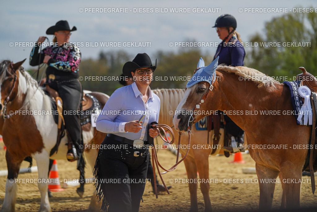 DSC04278 | Pferdegrafie