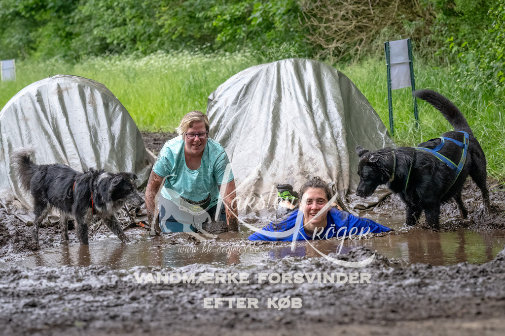 1627_ZZ93959-Bearbeitet | kk-dogfotos