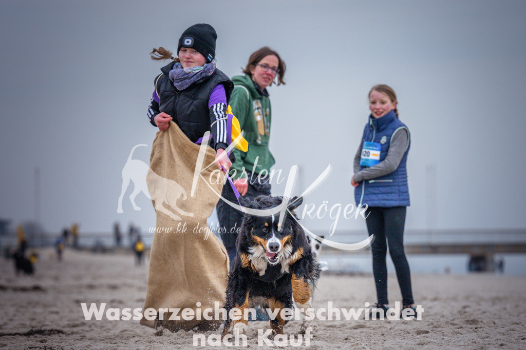 1223_ZZ93893 | kk-dogfotos