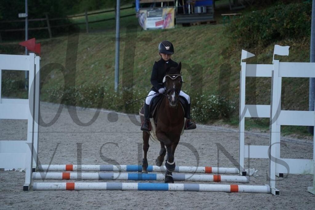 tgbhsonntag (110) | d.tail Visions - Shop - Realisiert mit Pictrs.com