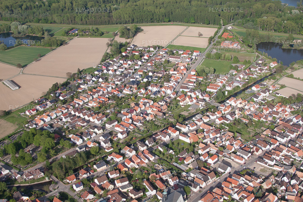 Luftbild: landwirtschaftlichen Feldern und Nutzflächen in Leimersheim im Bundesland Rheinland-Pfalz in Deutschland. Foto: IMG_50015.jpg vom 01.05.2012 durch Werner Riehm/FLY-FOTO.de
