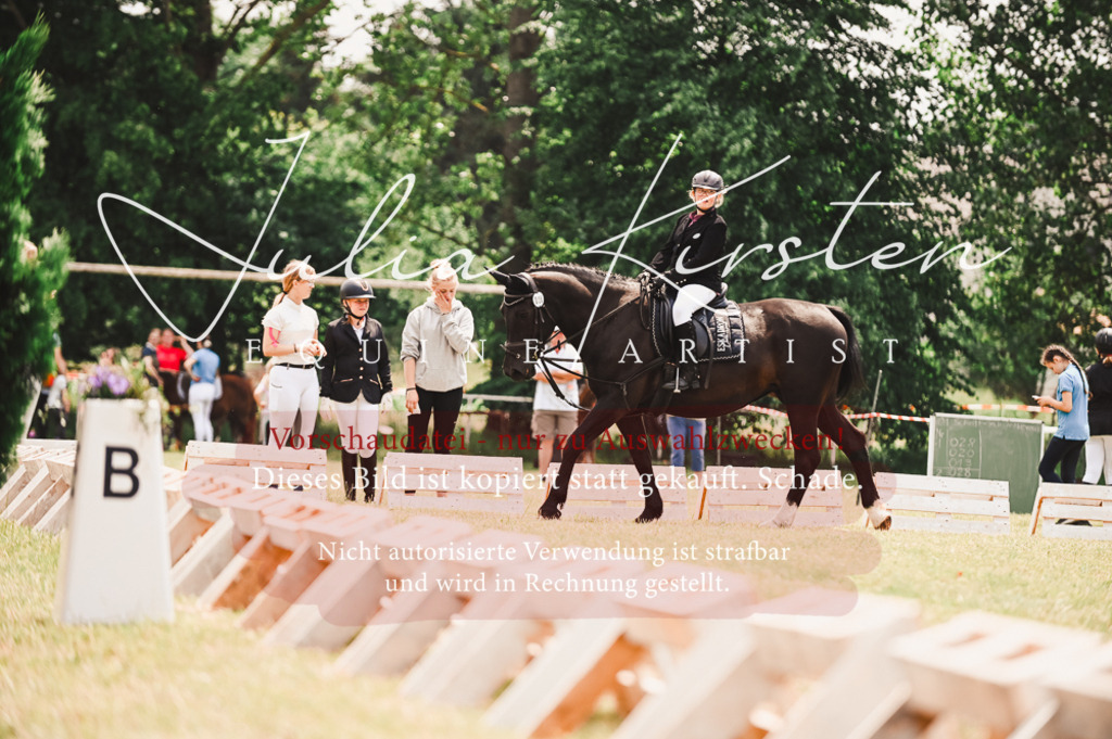 DSC_6223 | Pferde- und Turnierfotografie in Westsachsen. Pferdeportraits, Auftragszeichnungen und intuitive Kunst.