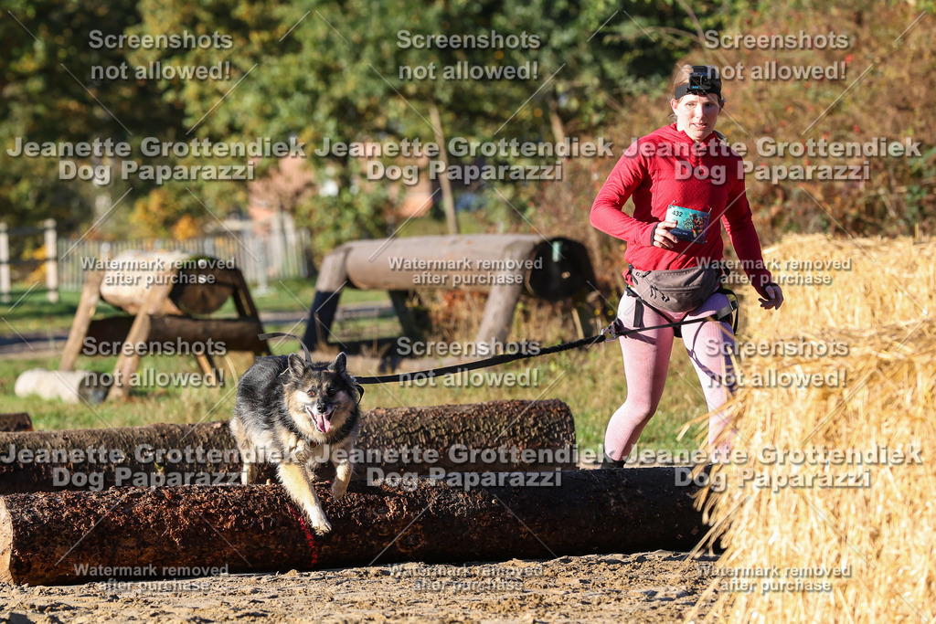 Dog Paparazzi - Strongdog 10-25-1123 | Dog Paparazzi Jeanette Grottendiek Fotografie & Videografie - Realisiert mit Pictrs.com