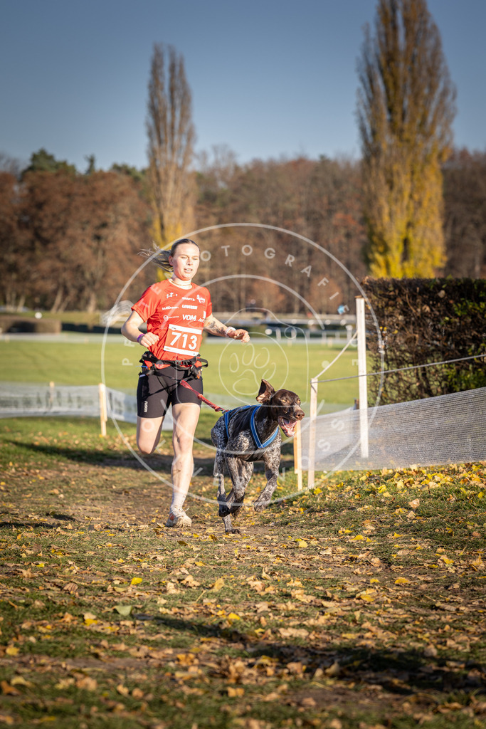 CaniXpix_DV3A1695 | Hundefotografie, Tierfotograf, Pfotenfotografie, Fotoshooting Hund, Hunde Portrait, Hundesport, Hundeportraits, Heideshooting, Hunde, Sportfotograf, Hundefotograf, Turnierhundsport, THS,  - Realisiert mit Pictrs.com