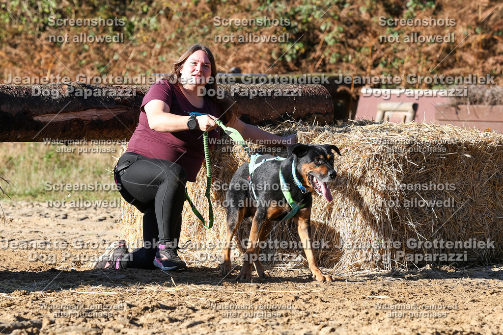 Dog Paparazzi - Strongdog 10-25-1894 | Dog Paparazzi Jeanette Grottendiek Fotografie & Videografie - Realisiert mit Pictrs.com
