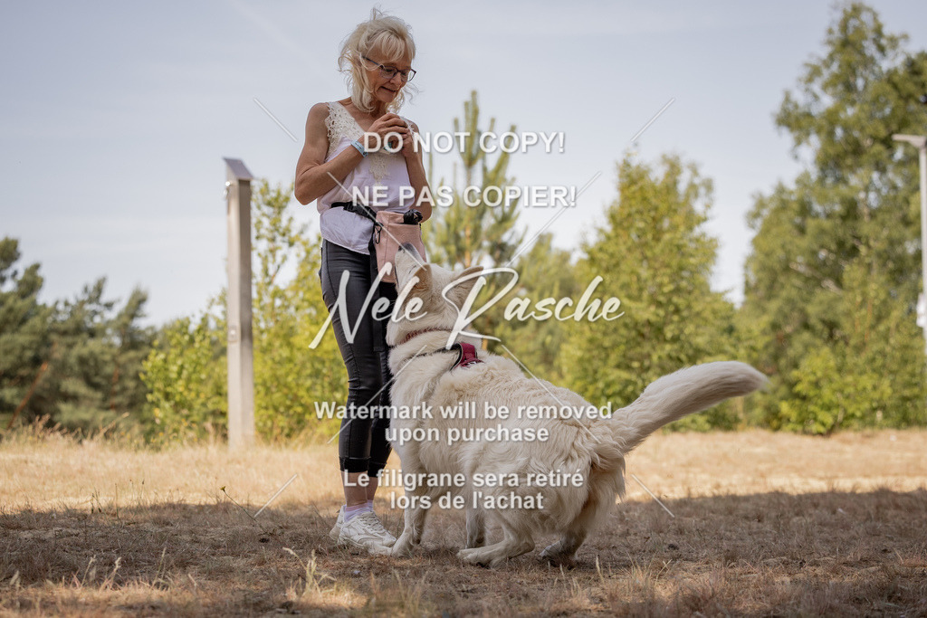 nelerasche_soDD2_208 | nelerasche