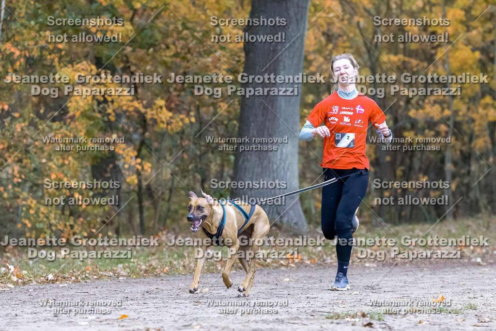 Dog Paparazzi - SD CaniX Championship 2025-296 | Dog Paparazzi Jeanette Grottendiek Fotografie & Videografie - Realisiert mit Pictrs.com