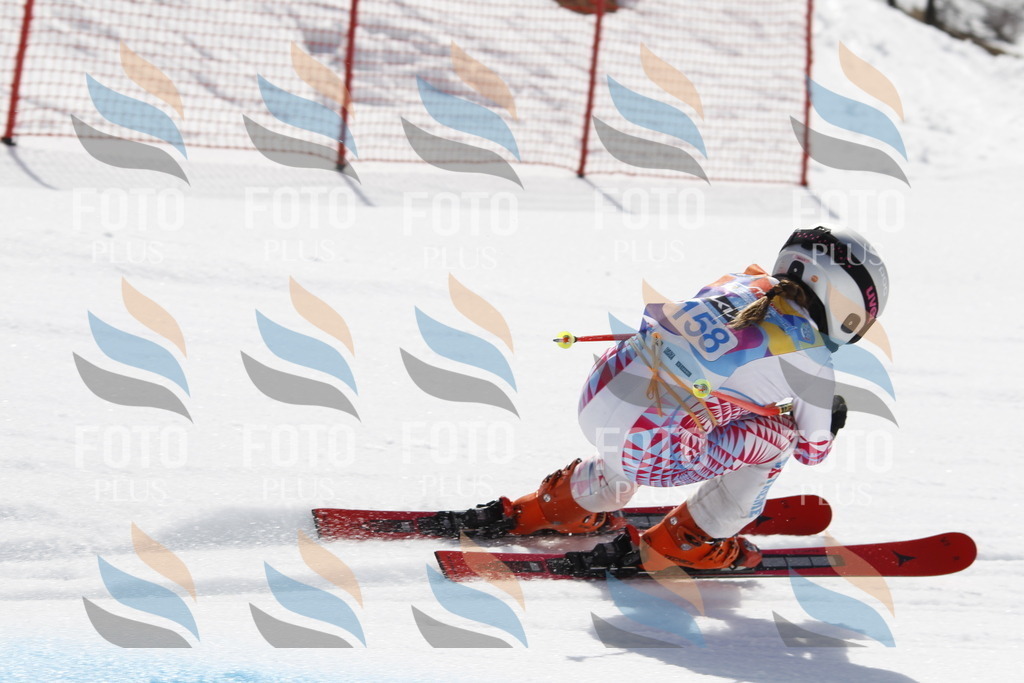 _U3G1374 | holidayphoto