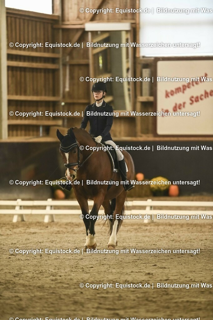 20231029_04_Dressur-WB_0117 | Foto: Thomas Hartig