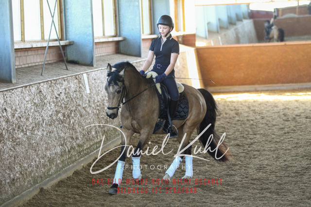 DKP42394 | Turniersportfotografie; Pferdefotografie; Dressurfotografie