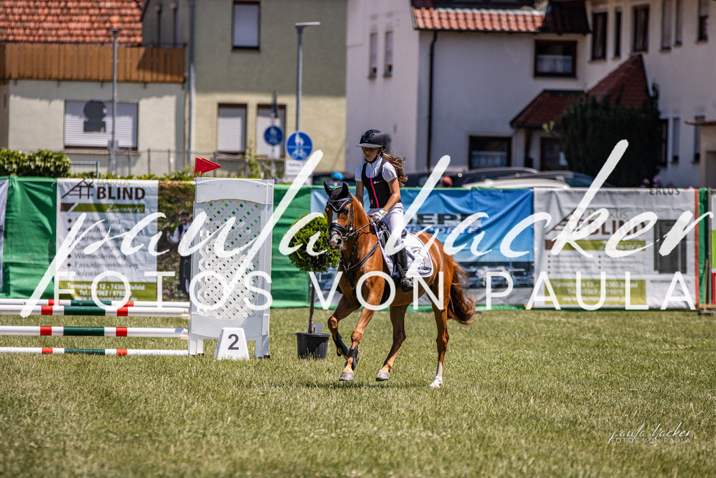 IMG_0458 | Erleben Sie dynamische Sport- und emotionale Tierfotografie in Süddeutschland mit Fotos von Paula. Spezialisiert auf Pferde- und Hundefotografie sowie Sportevents. Kontaktieren Sie mich für einzigartige und ausdrucksstarke Bilder Ihrer besonderen Momente. - Realisiert mit Pictrs.com