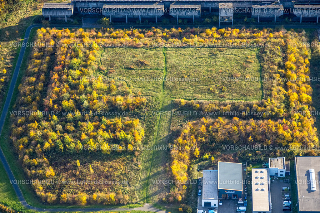 Gelsenkirchen251102952 | Luftbild, Kohlebunker Schalker Verein und freie Wiesenfläche, herbstliche Bäume, Bulmke-Hüllen, Gelsenkirchen, Ruhrgebiet, Nordrhein-Westfalen, Deutschland