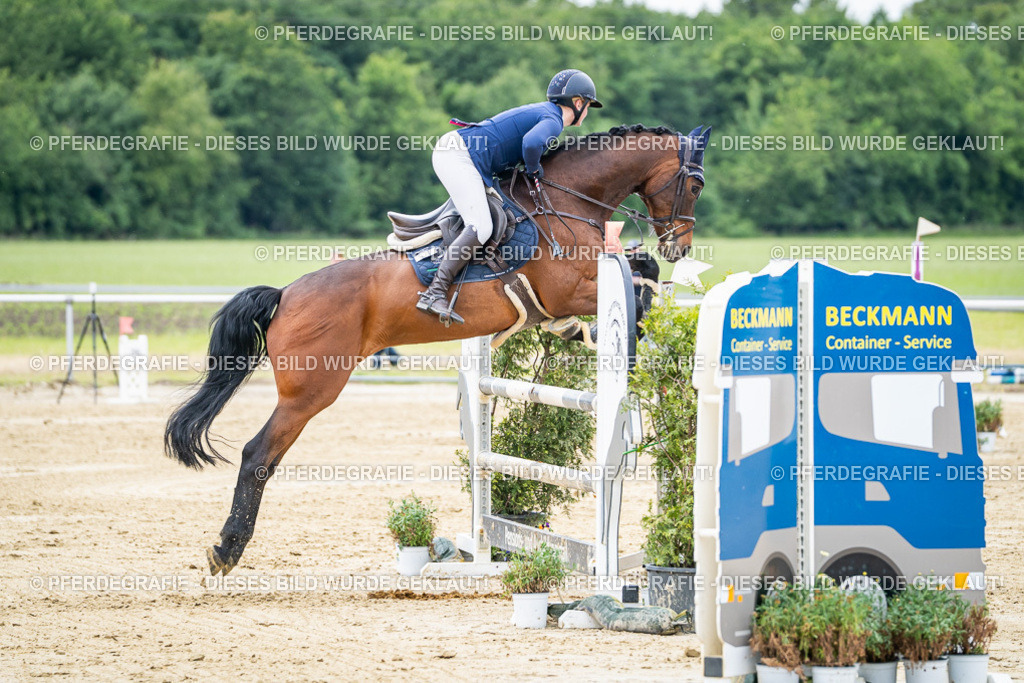 DSC05349 | Pferdegrafie