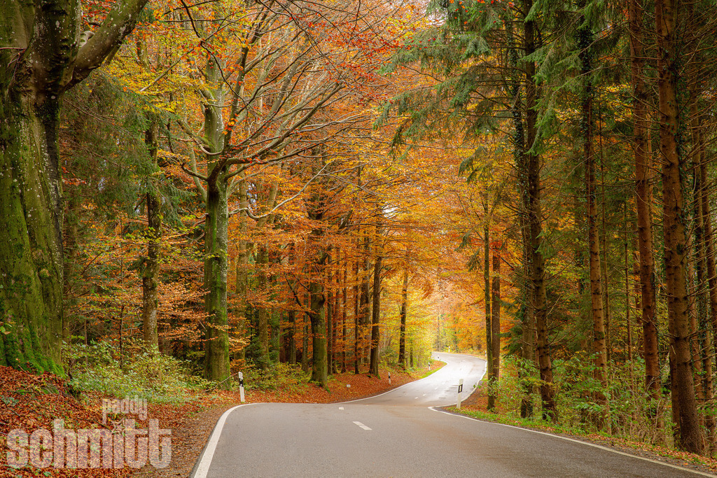PS-Wege-2026-16 | Entdecke die größte Bildgalerie der Region mit Fotografien aus dem Allgäu, der Bodenseeregion, Oberschwaben, dem Donautal und der Schwäbischen Alb. Landschaften, Luftaufnahmen und Reisefotografie als Wandbild und Fotokunst. - Realisiert mit Pictrs.com