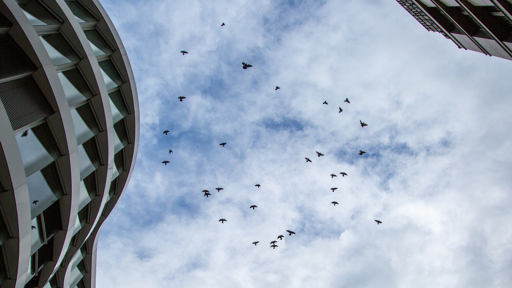 Zwischen den Dächern | Fotopresso – Sportfotografie in Heidenheim & Umgebung. Professionelle Sportfotografie für unvergessliche Momente. Dynamische Action-Shots, emotionale Szenen & hochwertige Bilder. - Realisiert mit Pictrs.com