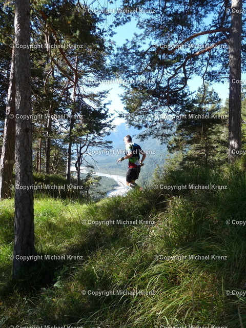 P1010939 | Michael Krenz