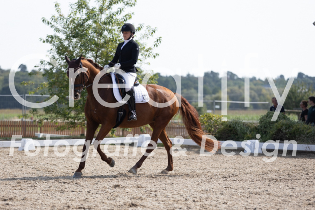 IMG_3445 | Creatify Fotografie