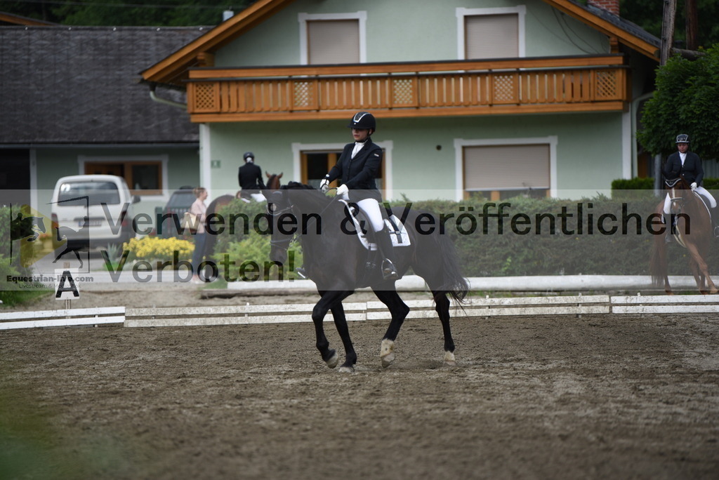 DSC_4900 | equestrian-live-com