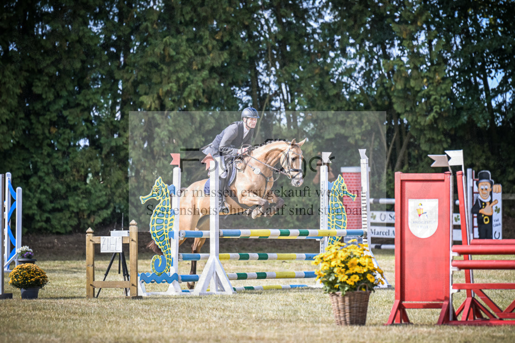 DOS_0484 | Entdecke hochwertige Reitturnierfotos von Foto Oger. Professionell, emotional und authentisch – jetzt Lieblingsmomente im Shop bestellen.Deutschlandweite Turnierfotografie. - Realisiert mit Pictrs.com
