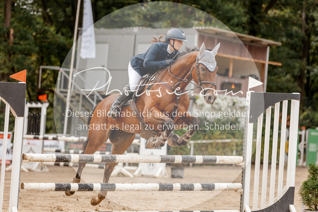 3I6A6443 | Stimmungsvolle Portraits und Reitsportfotografie im Ruhrgebiet und im Münsterland.

Pferdefotografie, Hundefotografie, Tierfotografie, Reportagen, Portraits von Tier und Mensch, Turnierfotografie in Bochum, Recklinghausen, Marl, Haltern am See, Dülmen.. - Realisiert mit Pictrs.com
