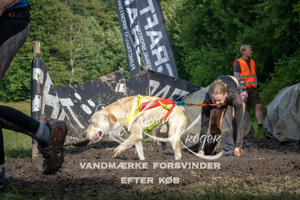 1730_ZZ92418-Bearbeitet | kk-dogfotos