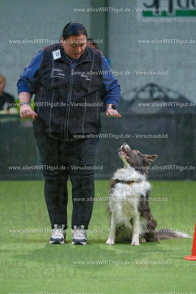 7R500255 | Professionelle Tierfotografie in Mönchengladbach von Daniel Wirth (allesWIRTHgut). Liebevolle & natürliche Bilder von Hunden & Katzen für unvergessliche Erinnerungen.